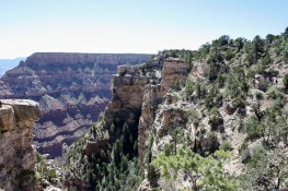 2018 06-07 Grand Canyon 05