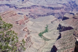 2018 06-07 Grand Canyon 34